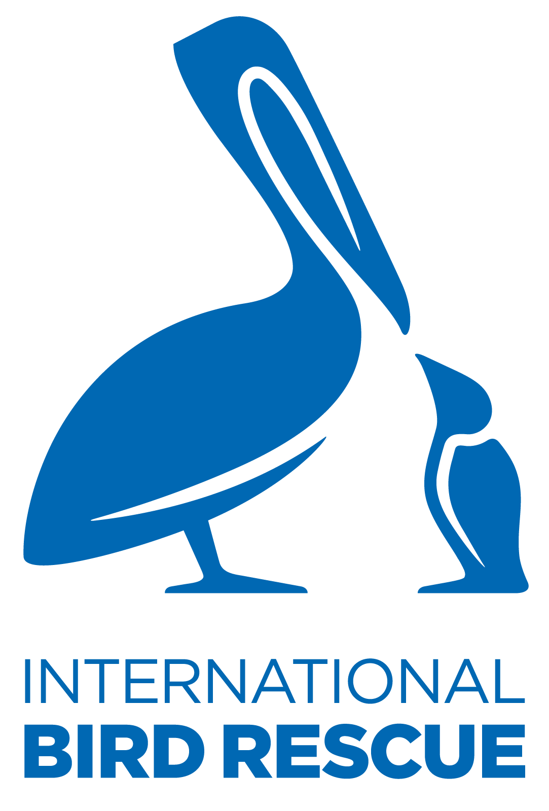 Sustainability Initiatives in Bridal Maggie Sottero